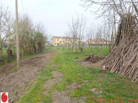 Rustico/Casale (Campagnola) 14687mq