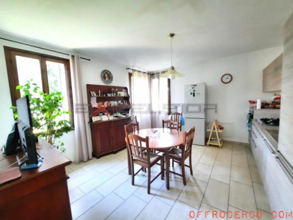 Villa Cavarzere - Centro 318mq