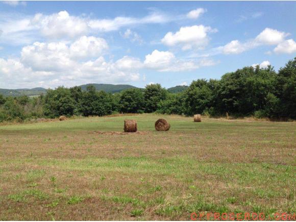 Terreno Agricolo 15000mq 2020