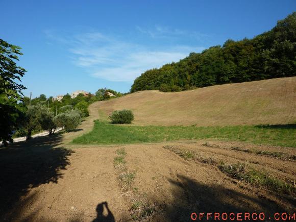 Terreno Agricolo