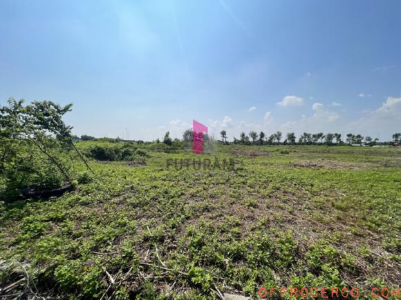 Terreno Piazzola Sul Brenta 11000mq 2023