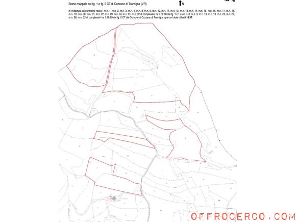 Terreno Cazzano di Tramigna 81837mq