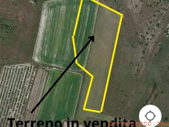 Terreno Agricolo 8780mq