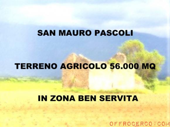Terreno San Mauro Pascoli 56000mq