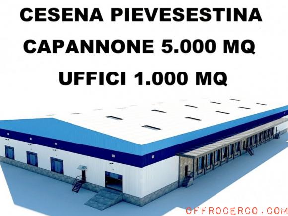 Capannone Pievesestina 6000mq