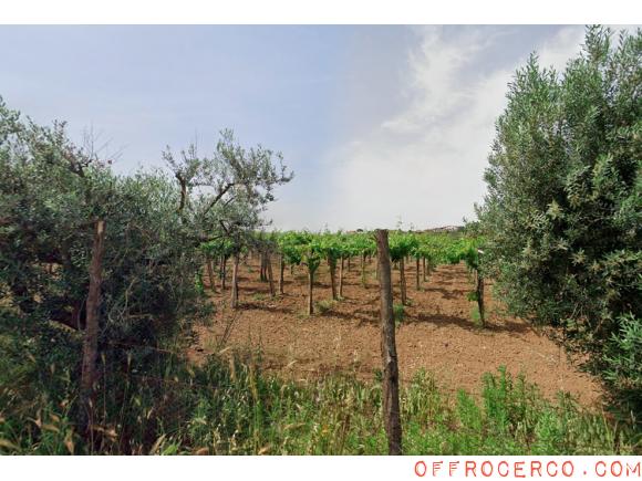 Terreno Agricolo (Casilina/ Prenestina/ Centocelle/ Alessandrino) 11000mq