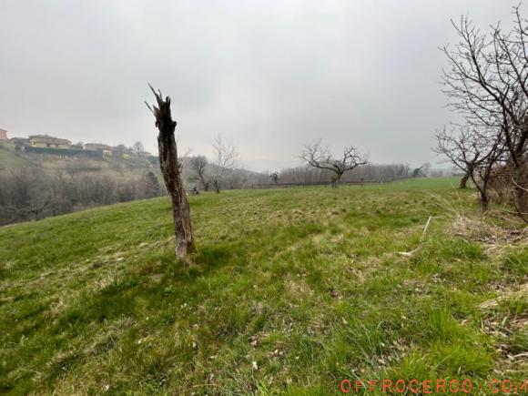 Terreno San Mauro di Saline - Centro 826mq