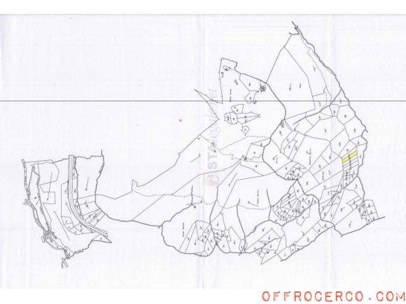 Terreno Agricolo (Campiglia) 3670mq