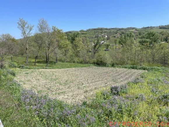 Terreno Agricolo 7400mq
