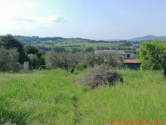 Terreno Edificabile (San Martino in Colle) 1800mq