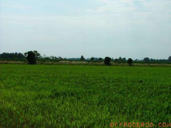 Terreno Agricolo 26000mq