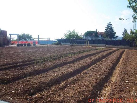 Terreno Agricolo (Leca) 2000mq