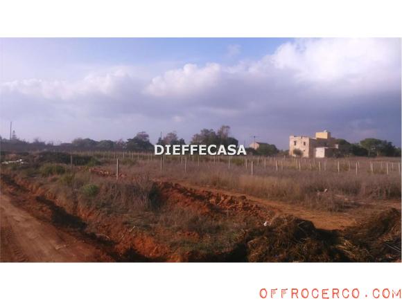 Terreno Agricolo (Periferia lato Mazara del Vallo) 10000mq