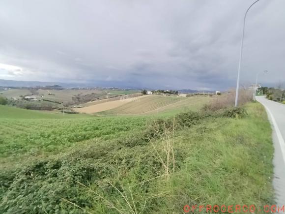 Terreno COLLINARE 26500mq