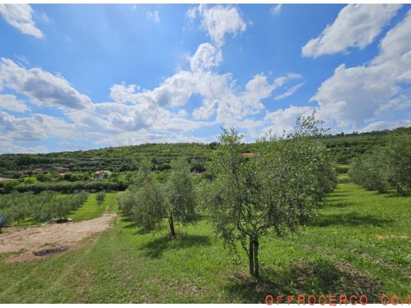 Casa singola Arquà Petrarca 280mq