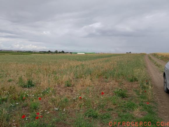 Terreno Agricolo 8500mq