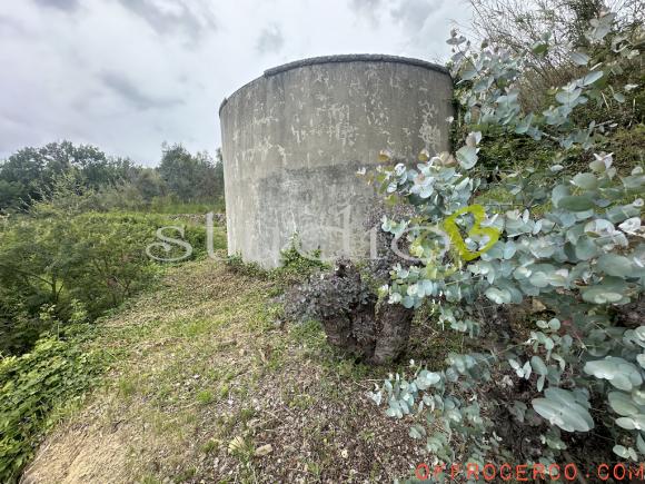 Terreno Agricolo