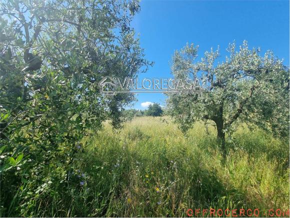 Terreno Agricolo (San Cesareo) 4300mq