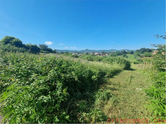 Terreno Agricolo (San Cesareo) 5500mq