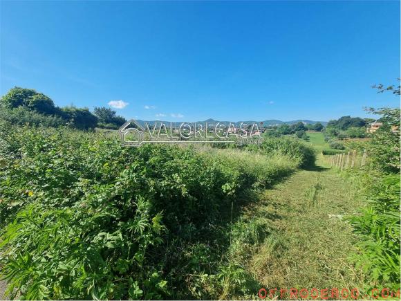 Terreno Agricolo (San Cesareo) 5500mq