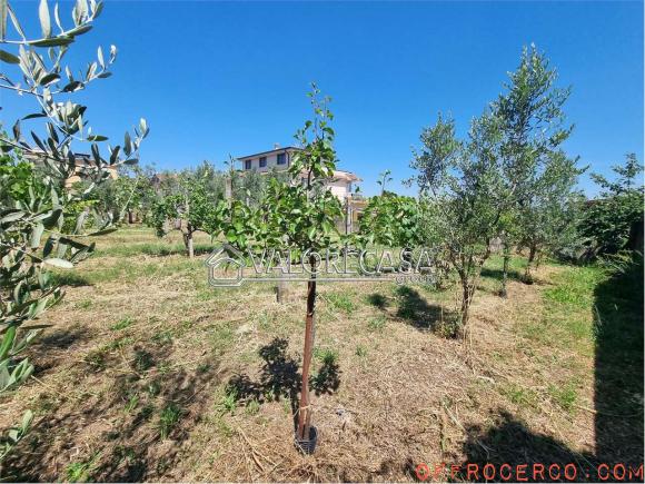 Terreno Agricolo (Casilina/ Prenestina/ Centocelle/ Alessandrino) 1000mq