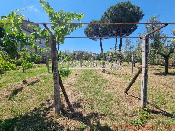 Terreno Agricolo (Casilina/ Prenestina/ Centocelle/ Alessandrino) 1000mq