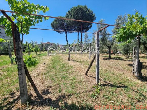 Terreno Agricolo (Casilina/ Prenestina/ Centocelle/ Alessandrino) 1000mq