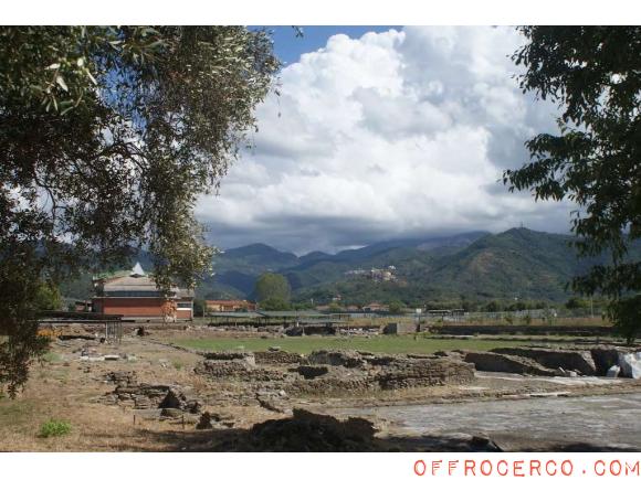 Terreno Agricolo (San Lazzaro) 22000mq