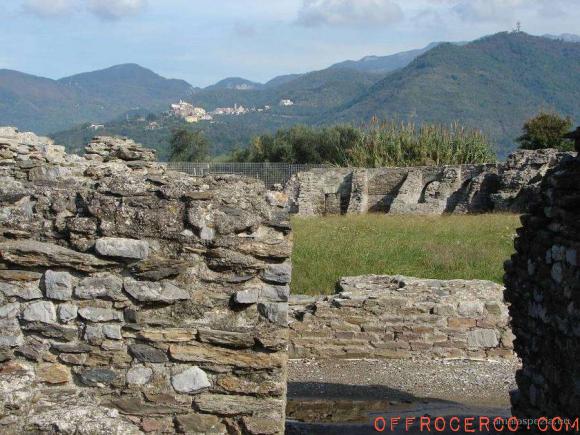 Terreno Agricolo (San Lazzaro) 22000mq