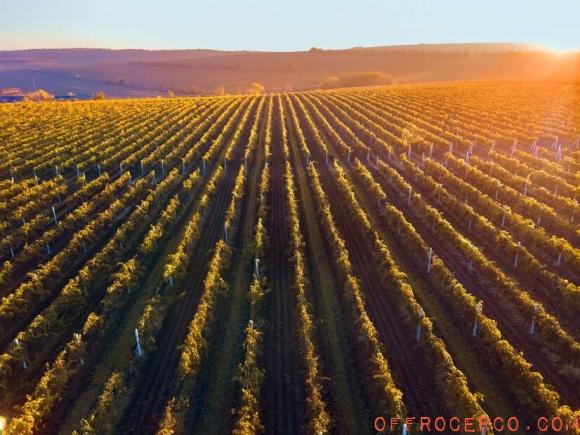 Terreno Agricolo 120000mq