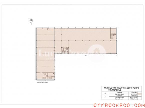 Capannone San Concordio Contrada 1500mq