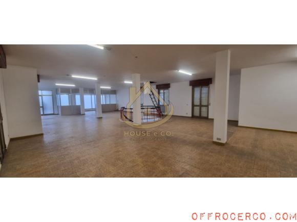 Loft 480mq