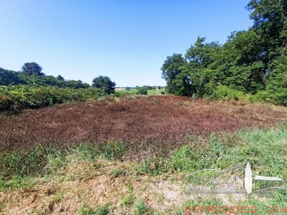 Terreno Castiglione del Lago 37000mq