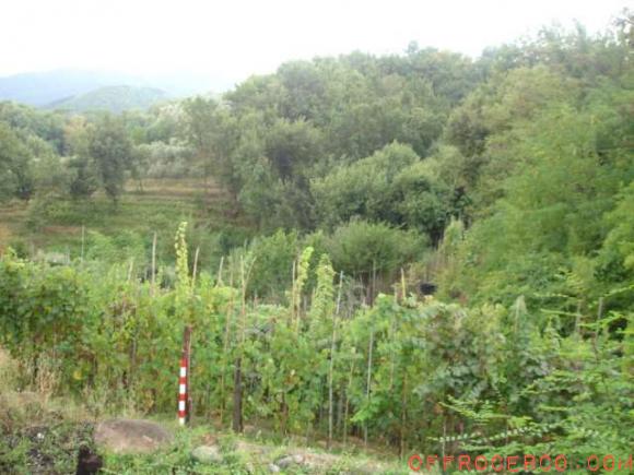 Rustico/Casale (San Ginese di Compito) 225mq