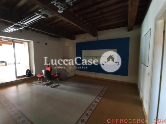 Locale commerciale Borgo Giannotti 155mq