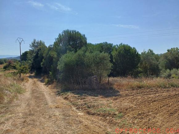 Terreno Agricolo 20000mq