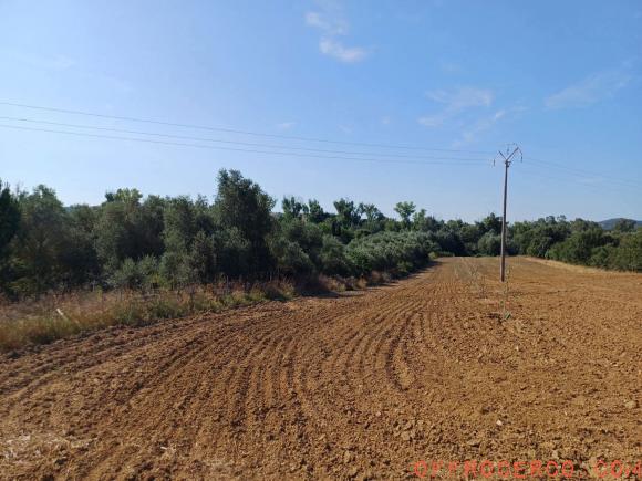 Terreno Agricolo 20000mq