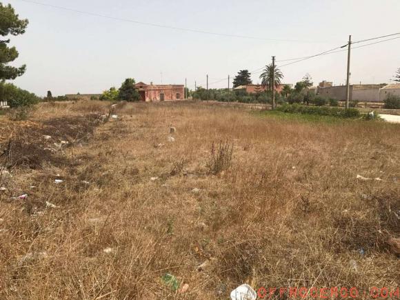 Terreno Agricolo (Periferia lato Salemi) 300mq