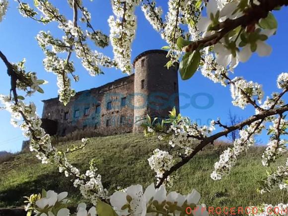 Casa indipendente 4 Locali Bruscarolo 80mq 1400