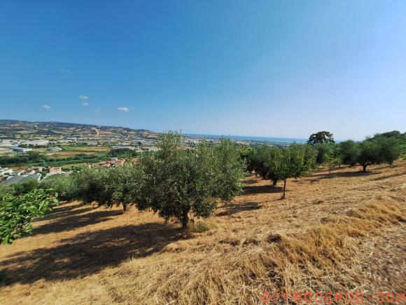 Terreno Agricolo 9000mq