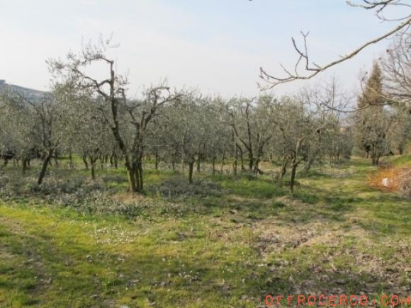 TERRENO AGRICOLO SAN MARTINO ALLA PALMA 6010mq