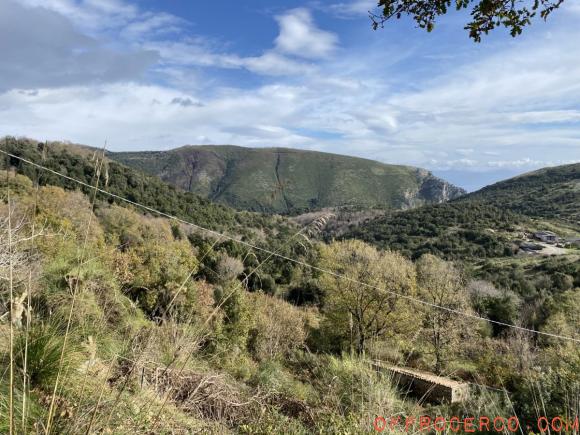 Terreno Agricolo