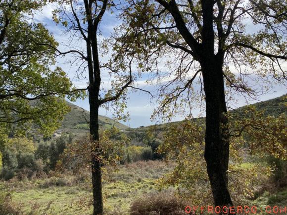 Terreno Agricolo