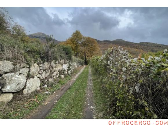 Terreno Agricolo (Ne) 750mq