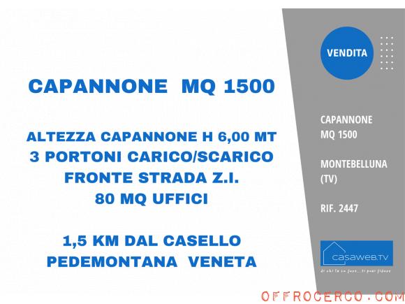 Capannone 1500mq