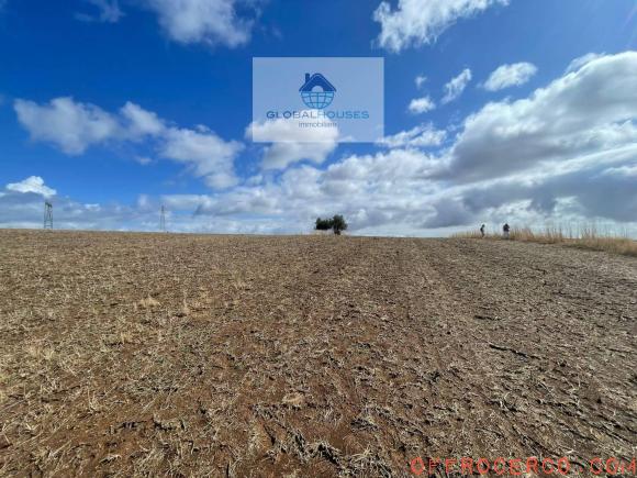 Terreno Agricolo