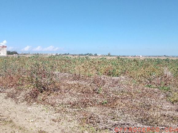 Terreno Agricolo