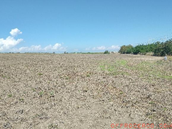 Terreno Agricolo