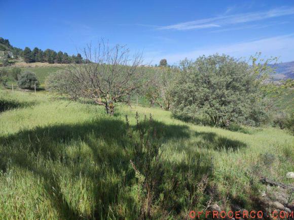 Terreno Agricolo 13950mq