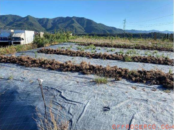 Terreno Agricolo 14318mq